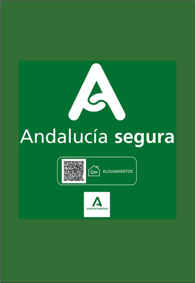 Holidays2Malaga Heredia 3 Bedroom Opposite Malaga Port Exterior photo